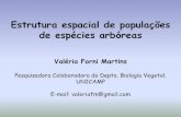 Estrutura espacial de populações de espécies arbóreasEstrutura espacial de uma população vegetal: fatores que influenciam a estrutura espacial de spp. arbóreas. Bleher et al.