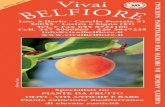 2012/2013 Vivai N I R D I RIC 30 E C A 1983 - 2 · 2012. 9. 6. · Cotogna di Rosano - Cultivar toscana a frutto medio grosso con epidermi-de gialla. Polpa gialla macchiata di rosso