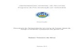Atividade antimicrobiana de microrganismos isolados de grãos de …guaiaca.ufpel.edu.br/bitstream/123456789/2479/1/dissert... · 2019. 9. 13. · agentes de doenças transmitidas