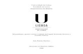 Universidade de Lisboa Faculdade de Letras Departamento de ...repositorio.ul.pt/bitstream/10451/33042/1/ulfl242736_tm.pdf · 10 Portugal na Primeira Guerra Mundial 1914 – 1918,
