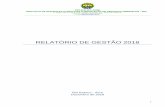 RELATÓRIO DE GESTÃO 2018 - Instituto de Mudanças Climáticas e Regulação dos ...imc.ac.gov.br/wp-content/uploads/2019/01/Relatorio... · 2020. 4. 8. · de gases de efeito estufa,