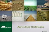 Agricultura Certificada - Febrapdp Armazenagem Defensivos Armazenagem Gr££os Armazenagem Algod££o Pluma