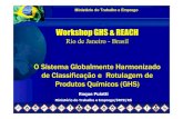 Rio de Janeiro -Brasilinmetro.gov.br/barreirastecnicas/REACH/Roque Puiatti.pdf · 2008. 9. 20. · Ministério do Trabalho e Emprego Marco do GHS: Rio 92 –Agenda 21 Em 1992 no Brasil