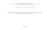 CARACTERIZAÇÃO E OTIMIZAÇÃO DA ESCÓRIA DE UM FORNO ...repositoriobib.ufc.br/000020/00002030.pdf · Monografia submetida à Coordenação do Curso de Engenharia Metalúrgica,