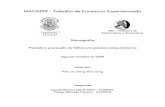 MAC0499 - Monografia · 2016. 2. 18. · MAC0499 - Trabalho de Formatura Supervisionado Monografia Previsão e prevenção de falhas em sistemas computacionais Segundo semestre de
