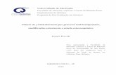 Universidade de São Paulo - USP€¦ · DFT – Teoria do Funcional de Densidade (Density Funcional Theory) DIH – 1,3-Di-iodo-5,5-dimetil-hidantoína DMAP – 4-Dimetilaminopiridina