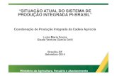 App PIBrasil 31RO Cacau · Pimenta do reino Castanha-do-brasil Alface Chuchu Pepino Beterraba Couve Repolho Quiabo 2. ... Pirâmide do Conhecimento para a Inovação e Competitividade