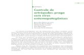 CAPÍTULO 8 Controle de artrópodes-praga com vírus ...ainfo.cnptia.embrapa.br/digital/bitstream/item/212579/1/...CAPÍTULO 8 CONTROLE DE ARTRÓPODES-PRAGA COM VÍRUS ENTOMOPATOGÊNICOS