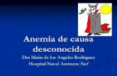 Dra Maria de los Angeles Rodriguez Hospital Naval Amirante ...Desde 1997 anemia y VHS algo elevada, tratado con Anaprolina y Medrol (hubo elevación de la Hb) Examen: pálido, vello