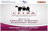 Manual de Cálculos Judiciais - Tribunal de Justiça de ...Centro de Treinamento e Apoio aos Servidores - CETRA Tribunal de Justiça de São Paulo Pág. 4 APRESENTAÇÃO Tema – Cálculo