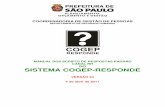 COORDENADORIA DE GESTÃO DE PESSOAS · 2011. 4. 4. · coordenadoria de gestÃo de pessoas departamento de recursos humanos manual dos scripts de respostas padrÃo canal rh do sistema