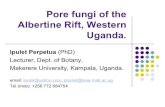 Taxonomy · Albertine Rift, Western Uganda. Ipulet Perpetua (PhD) Lecturer, Dept. of Botany, Makerere University, Kampala, Uganda. email: ipulet@yahoo.com: pipulet@isae.mak.ac.ug