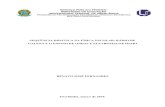 SEQUÊNCIA DIDÁTICA NA FÍSICA ESCOLAR: RÁDIO DE GALENA E O ENSINO DE …repositorio.ufu.br/bitstream/123456789/22426/3... · 2019. 10. 8. · Dados Internacionais de Catalogação