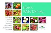 BIOMA PANTANAL · 2018. 7. 24. · BIOMA. PANTANAL. A legislação de Proteção da Vegetação Nativa (Lei 12.651/2012), também conhecida como “Novo Código Florestal”, prevê