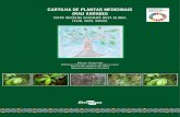 CARTILHA DE PLANTAS MEDICINAIS (RAU XARABU) · 2020. 9. 4. · O trabalho de etnobotânica de plantas medicinais e rituais, um plano de ação do projeto da Embrapa, envolveu levantamento