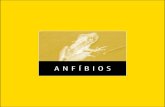ANFÍBIOS et al 2009 Livro... · 2013. 3. 11. · 4 ANFÍBIOS da (Brasileiro et al.,,, 2008), continua figurando na categoria Vulnerável. Sete espécies de anfíbios foram incluídas