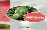 Cultura da Melancia - Embrapa · 2020. 5. 6. · A Cultura da Melancia 16 em mão de obra se estendem aos mercados atacadistas (Centrais de abastecimento - CEASAS, empresas terceiristas