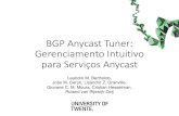 BGP Anycast Tuner ... - ftp.registro.br · BGP Anycast Tuner: GerenciamentoIntuitivo para ServiçosAnycast Leandro M. Bertholdo, João M. Ceron, Lisandro Z. Granville, GiovaneC. M.