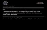 Desenvolvimento Sustentável: análise das relações ...desenvolvimento sustentÁvel: anÁlise das relaÇÕes interorganizacionais na indÚstria de celulose e papel fÁbio lotti oliva
