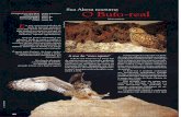  · 2012. 3. 1. · O Bufo-real alimenta-se de espécies de mamíferos e aves de dimensão média, sendo afectado pelo contínuo decréscimo das suas presas, decorrente das doenças