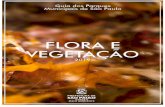 PREFEITURA DO MUNICÍPIO DE SÃO PAULO ......GUIA DOS PARQUES MUNICIPAIS 2019 - FICHA TÉCNICA Flora e vegetação Trabalho de campo, identificação botânica: Herbário Municipal