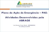 Plano de Ação de Emergência PAE: Atividades Desenvolvidas pela ABRAGE · 2020. 3. 11. · B. Fluxograma de notificaçãoem situação de emergência VIII. Responsabilidades Gerais