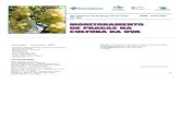 MONITORAMENTO DE PRAGAS NA CULTURA DA UVA · 2005. 6. 1. · No sistema de Produção Integrada de Frutas, o manejo integrado de pragas (MIP) é um dos componentes de fundamental