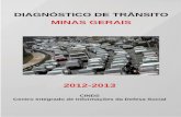 DIAGNÓSTICO DE TRÂNSITO MINAS GERAIS · 2015. 7. 16. · rodoviaria/relatorio-sgp-2012-2013-mg.pdf> Acesso em: 20 fevereiro 2014 . 9 4. ACIDENTES DE TRÂNSITO NO ESTADO DE MINAS