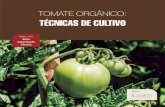 TOMATE ORGÂNICO: TÉCNICAS DE CULTIVO · 2019. 12. 10. · de tomate para o preparo da salada, dos molhos e outros pratos. A demanda por tomates orgânicos é maior do que a oferta,