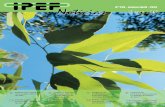 Nº 226 - março/abril - 2014 - IPEF · 2014. 5. 8. · Nº 226 - março/abril - 2014 3 Sistema traz novidades no processo editorial do IPEF Na foto, luz e sombras nas folhas de eucalipto