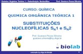 SUBSTITUIÇÕES NUCLEOFÍLICAS SN1 e SN2web.iq.ufrgs.br/biolab/images/courses/Aula-16-19... · 2016. 11. 4. · 3colorado.iq.ufrgs.br /biolab Química Orgânica Teórica 1 – Substituição