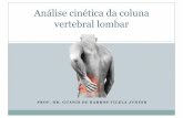 Análise cinética da coluna vertebral lombar · 2014. 7. 26. · Introdução • 82% da população já teve dores na coluna lombar. • As forças compressivas são as solicitações