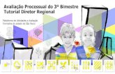 Avaliação Processual do 3º Bimestre Tutorial Diretor Regional · 2020. 11. 3. · Avaliação Processual 3 Cadernos de Língua Portuguesa e Cadernos de Matemática separados: 22