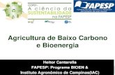 Agricultura e ambiente - Fapesp · 2015. 10. 7. · O Brasil tem demonstrado que é possível produzir bioenergia de forma sustentável Etanol com redução de ~80% de emissão de