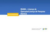 IBAMA –Licença de Operação/Licença de Pesquisa Sísmicatreinamento.lecom.com.br/ibama_lo_lps/05. GN - IBAMA - LO... · 2020. 3. 31. · Núcleos ibama.nla. lecom Presidente