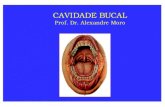CAVIDADE BUCAL - Moro Ortodontia · Cavidade bucal Raiz Bloco muscular que se situa posteriormente entre a mandíbula e o osso hióideo. CORPO DA LÍNGUA Parte faríngica do dorso