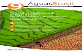 Os desafios e potenciais da irrigação no BrasilOs desafios e potenciais da irrigação no Brasil País com vocação para a agricultura irrigada, o Brasil precisa traçar ações
