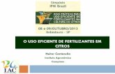 O USO EFICIENTE DE FERTILIZANTES EM CITROS · 2020. 3. 1. · Solubilidade de alguns compostos usados como fertilizantes . IPNI BPUF - Citros (Cantarella) 10-2013. Composto Fórmula