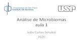 Análise de Microbiomas aula 1iq.usp.br/setubal/bmc/2020/microbiomaAula1.pdf · 2020. 10. 8. · aula 1 João Carlos Setubal 2020. Os micro-organismos estão por toda parte • São