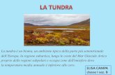 La tundra è un bioma, un ambiente tipico della parte più ... · La tundra è un bioma, un ambiente tipico della parte più settentrionale dell’Europa, la regione subartica, lungo