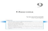 Argento oftalmo 2ª galera · Glaucoma. 1. O. BJETIVOS • Deﬁnir glaucoma. Conocer los diferentes tipos de glaucoma. • Conocer los aspectos epidemiológicos relacionados al glaucoma