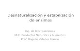 Desnaturalización y estabilización de enzimas...de enzimas Ing. de Biorreacciones M.C. Productos Naturales y Alimentos Prof. Rogelio Valadez Blanco Curva de Arrhenius para reacción