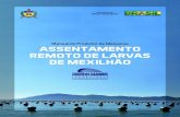 Manual do Produtor de Moluscos ASSENTAMENTO REMOTO DE … · 2015. 2. 23. · Moluscos Marinhos da UFSC é o único no Brasil a fornecer larvas olhadas de mexilhões para assentamento