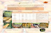 Variedades Abóbora Abobora vu.pdf · variedade muito apreciada na pastelaria portuguesa Menina 110 laranja achatada 6 – 20 laranja planta cultivada por todo o país, com frutos