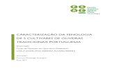 CARACTERIZAÇÃO DA FENOLOGIA DE 5 CULTIVARES ......fenologia de 5 cultivares de oliveiras tradicionais portuguesas: Azeiteira, Blanqueta, Carrasquenha de Elvas, Cobrançosa e Galega