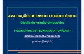 AVALIAÇÃO DE RISCO TOXICOLÓGICO · 2009. 9. 21. · i. perigo: estabelecer tdi ou rfd para o praguicida em mg/kg/dia ii. e multiplicar por 70 kg por exemplo exposiÇÃo : quanto