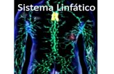 Sistema Linfático - PMMG · 2017. 11. 23. · 3. Três órgãos estão intimamente relacionados com o sistema linfático. Marque a alternativa que indica corretamente quais são