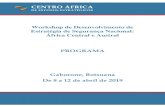 CENTRO ÁFRICA...Centro África de Estudos Estratégicos 3 Introdução Visão geral do programa Poucos países da África Central e Austral têm uma estratégia abrangente e coordenada,