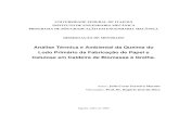 Análise Térmica e Ambiental da Queima do Lodo Primário da …livros01.livrosgratis.com.br/cp047773.pdf · Resumo MACEDO, J. C. F. (2006), Análise Térmica e Ambiental da Queima