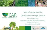 Serviço Florestal Brasileiro 05 anos do novo Código Florestal...Serviço Florestal Brasileiro 05 anos do novo Código Florestal Câmara dos Deputados Comissão de Agricultura, Pecuária,